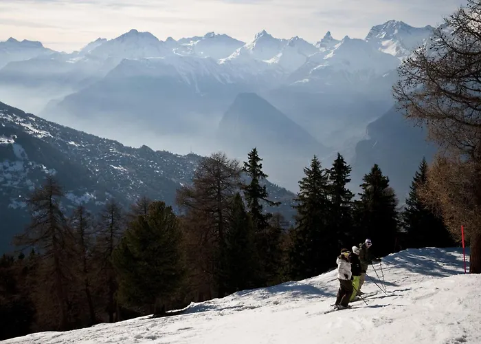 Gentianes G 001 - Cosy 6 Pers Veysonnaz